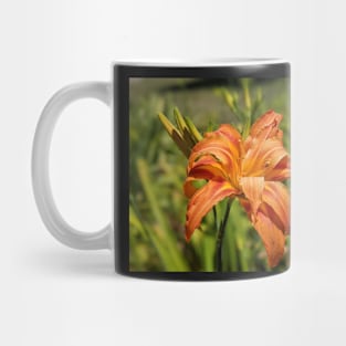 First Day Lily Bloom of the Season Mug